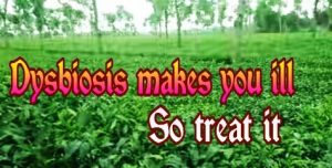 Gut Dysbiosis Treatment Symptoms diagnosis cause and prevention 6 Gut dysbiosis treatment