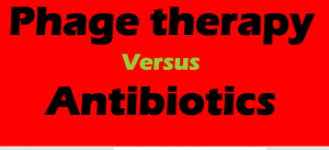 phage therapy vs antibiotic