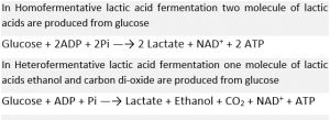 Products of Lactic Acid Fermentation - What Are The ProDucts Of Lactic AciD Fermentation1 300x109